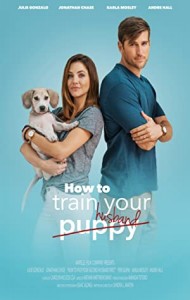 How To Train Your Husband (2017) Hindi Dubbed